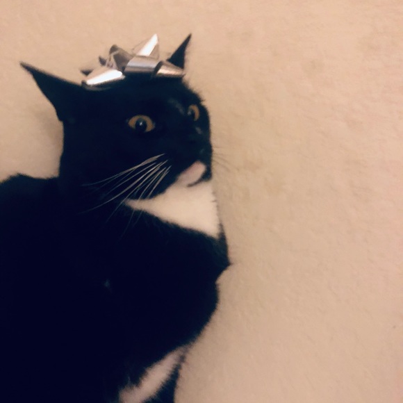 Meet your Posher, 𝒜𝚛ɪ𝔞 - Picture 4 of 4